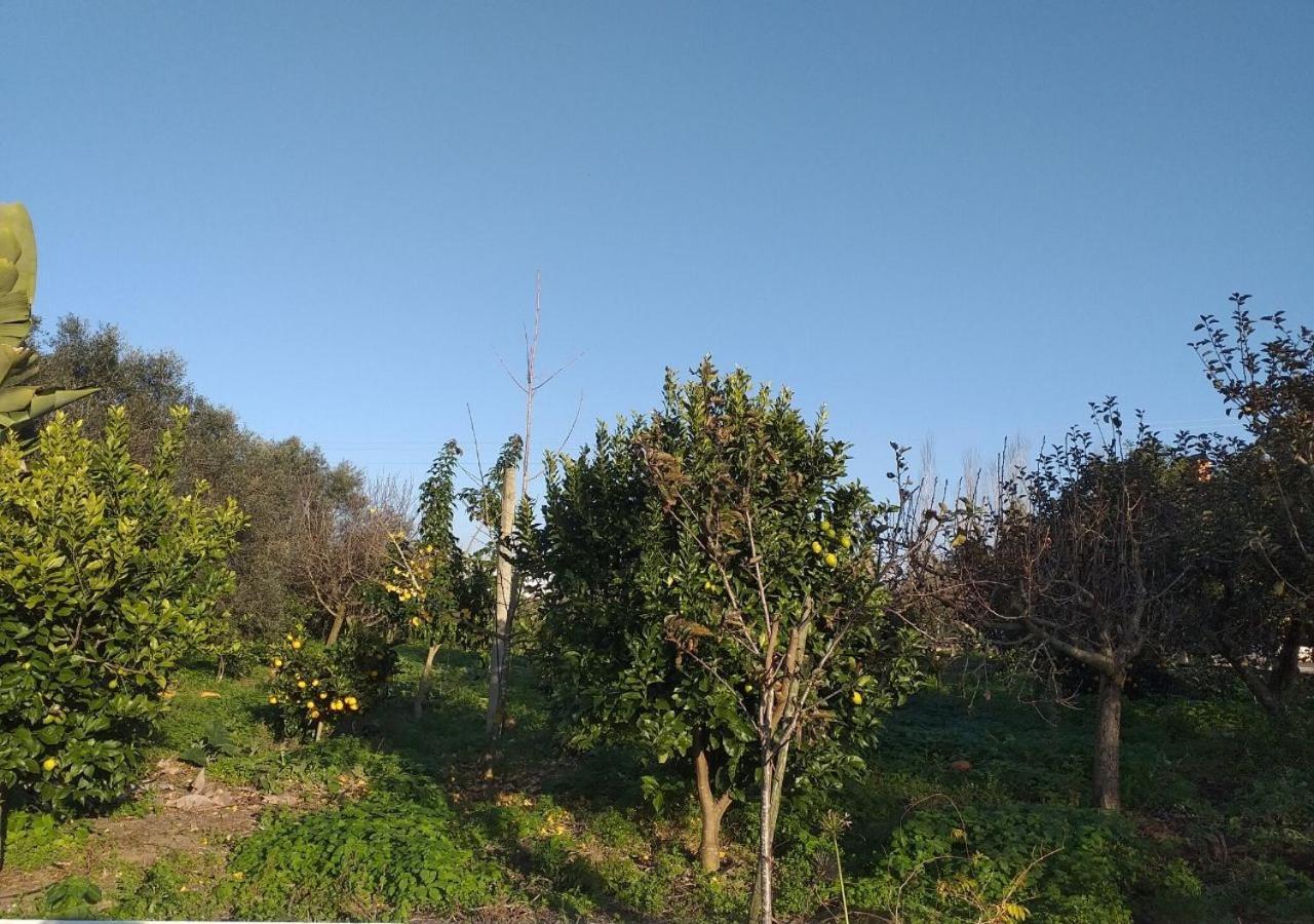 Greenside Of Sea Corujeira エクステリア 写真